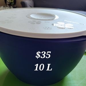 10 liters bowl